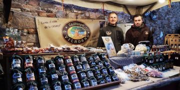 Castanya de Viladrau